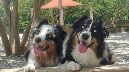 Unleashed Central LLC