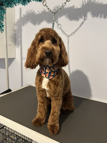 Fur & Flair Dog Grooming - Pet Shop in Cambridge