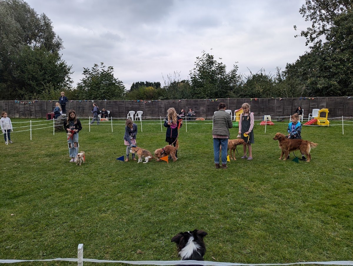Oakington Dog Day Care Centre - Photo 2
