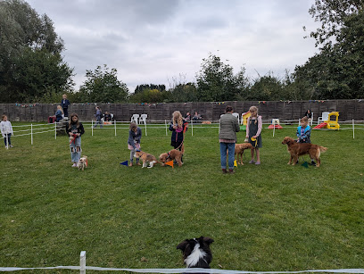 Oakington Dog Day Care Centre - Pet Shop in Cambridge