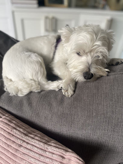 Peach Paw Collective