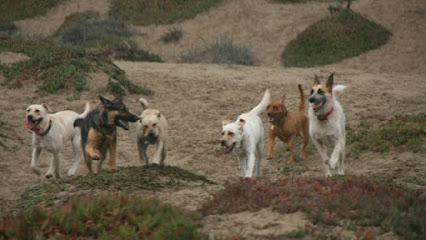 Dog Park Ready Family Dog Training LLC