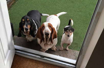 Julie's equestrian and pet services - Pet Shop in Cambridge