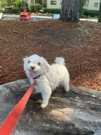Sweet Melissa's Pet Sitting - Pet Shop in Atlanta