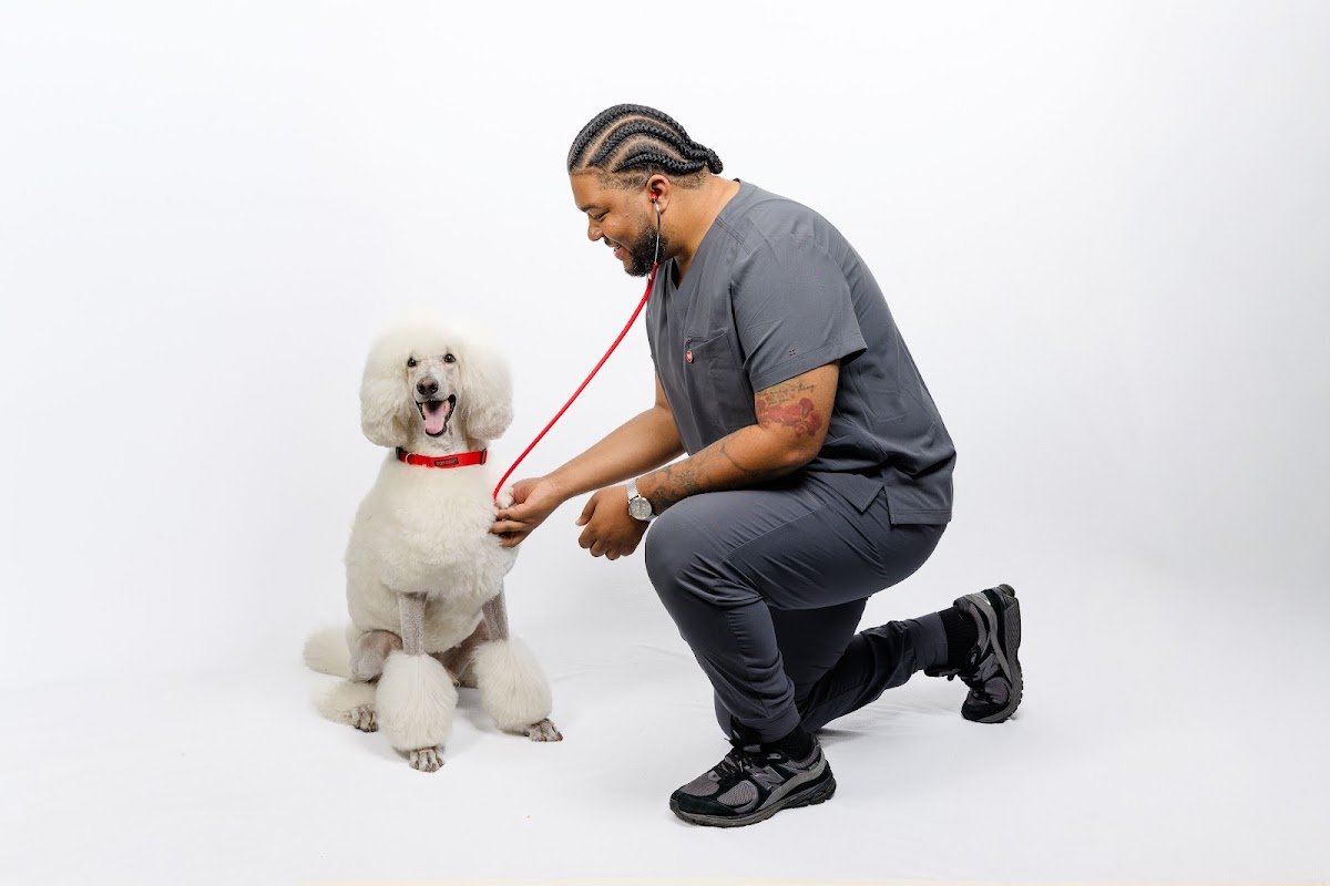 PetSmart Veterinary Services - Perimeter - Photo 2