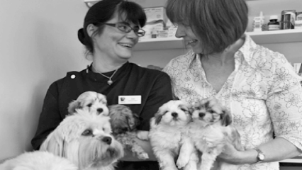 Village Vet Cottenham - Pet Shop in Cambridge