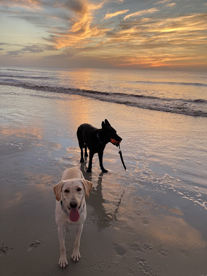 Vernon Woods Animal Hospital