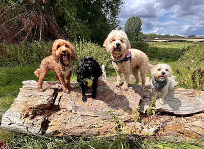 The Bee's Knees Pet Care - Pet Shop in Cambridge