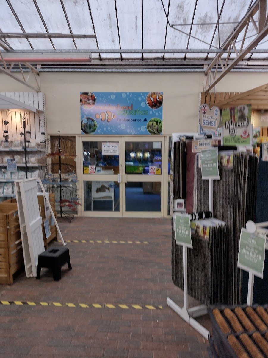 Maidenhead Aquatics Cambridge - Photo 2