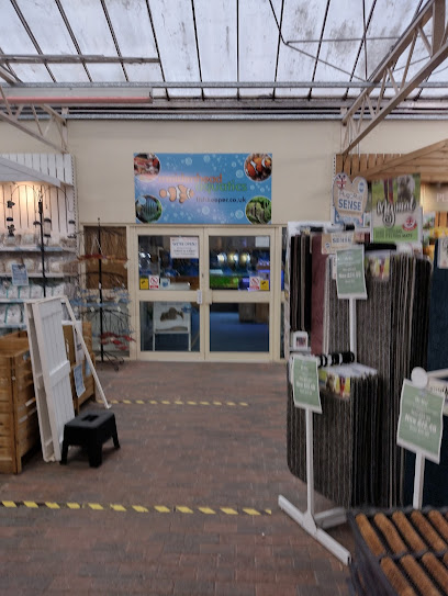 Maidenhead Aquatics Cambridge - Pet Shop in Cambridge