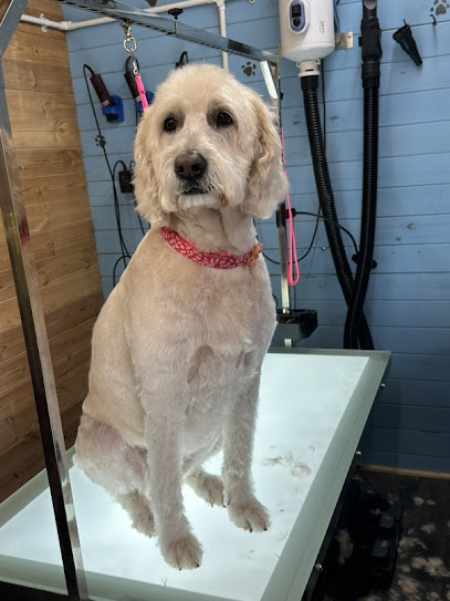 Precious Pets Dog Grooming - Pet Shop in Cambridge