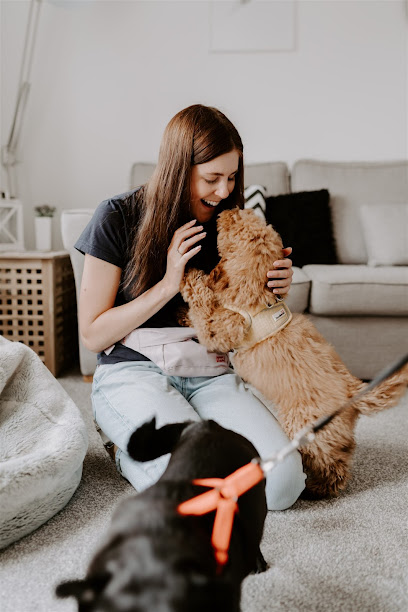 The Cambridge Catsitter
