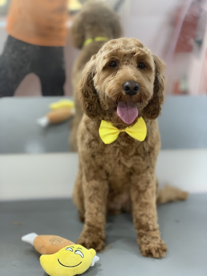 Paws to Tail Mobile Dog Grooming - Pet Shop in Cambridge