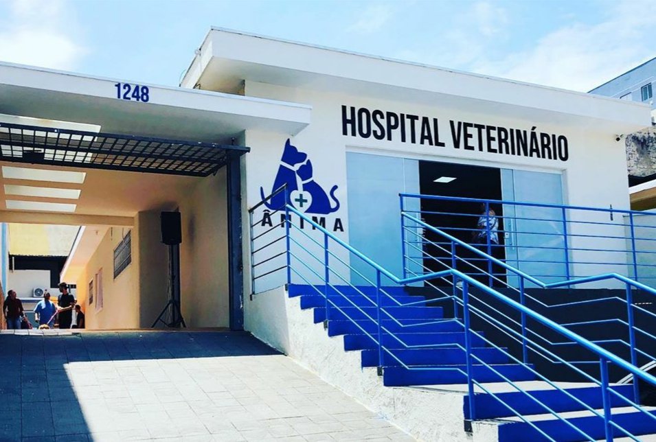 Animi Vet