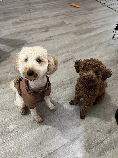 Luxe Canine Stays - Pet Shop in Atlanta