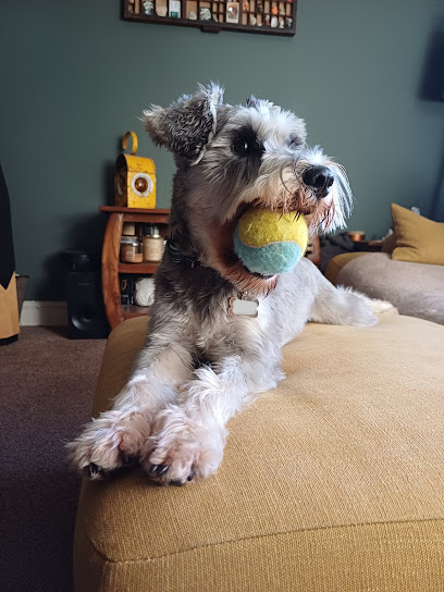 Home from Home Pet Care - Pet Shop in Cambridge