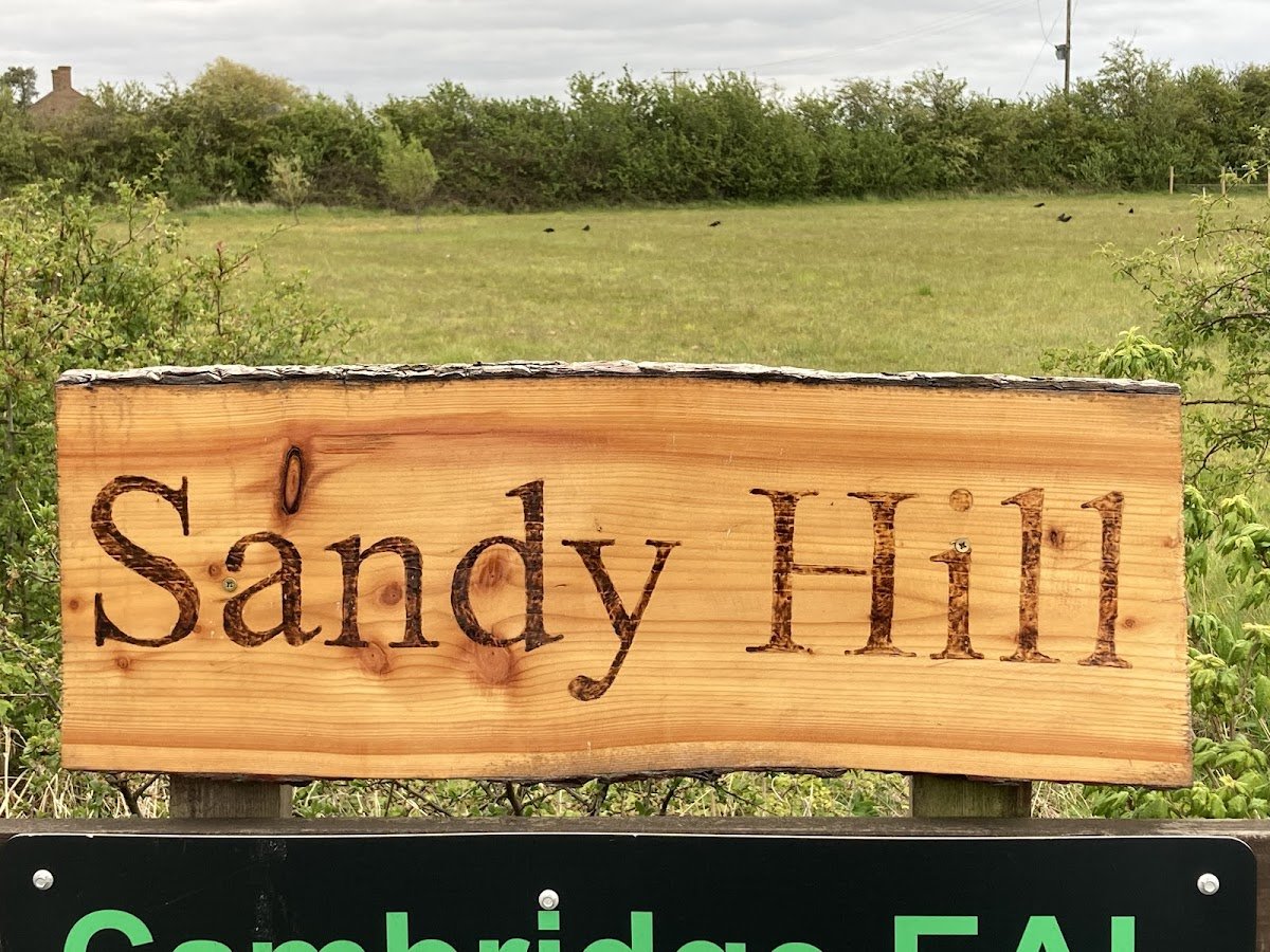 Sandy Hills Stables - Photo 2