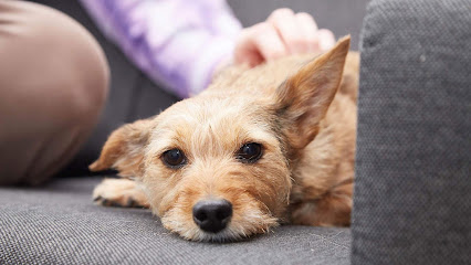 Arbury Road Veterinary Surgery - Cambridge