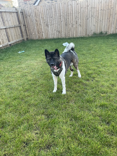 Cambridge Pet Sitting - Pet Shop in Cambridge