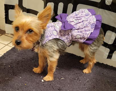 Cozy Pets Boutique Hotel - Pet Shop in Cambridge
