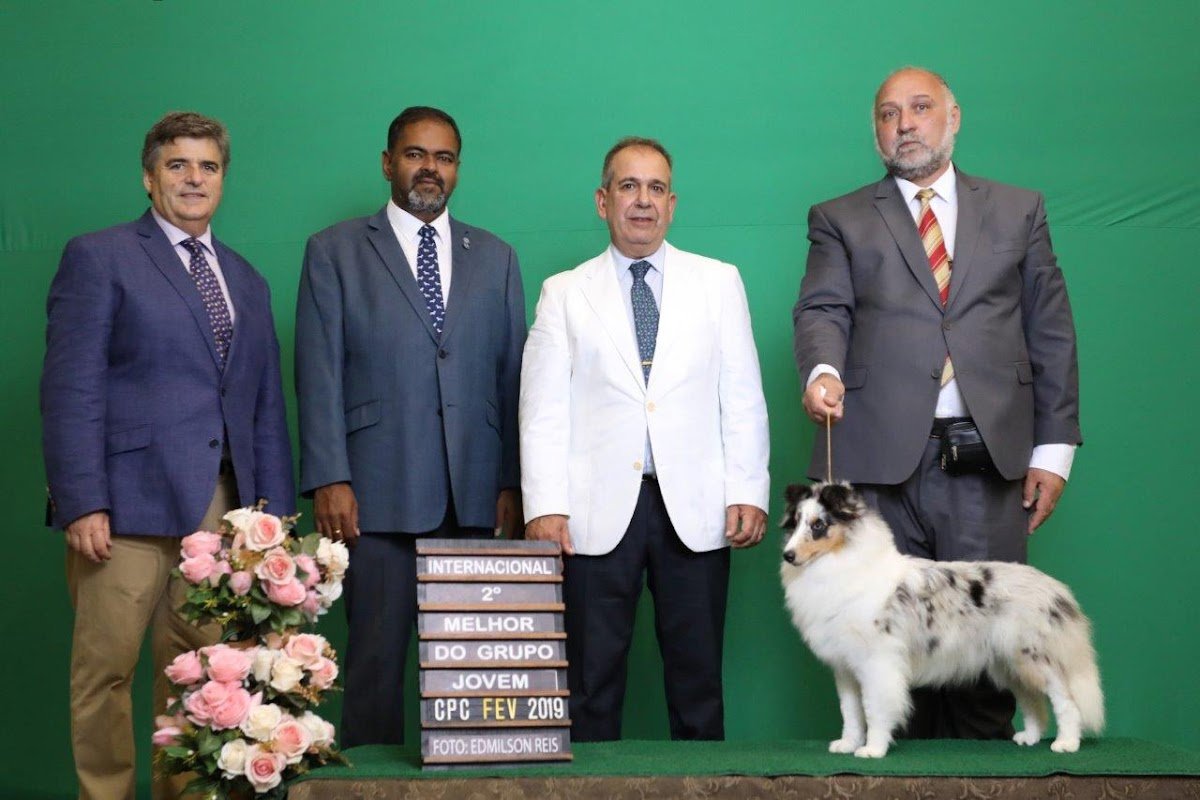 Canil Dois Irmãos - Pet Shop em Juquitiba
