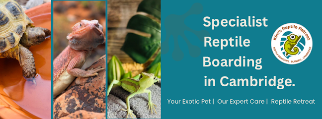 Kim’s Reptile Retreat - Reptile Boarding - Pet Shop in Cambridge