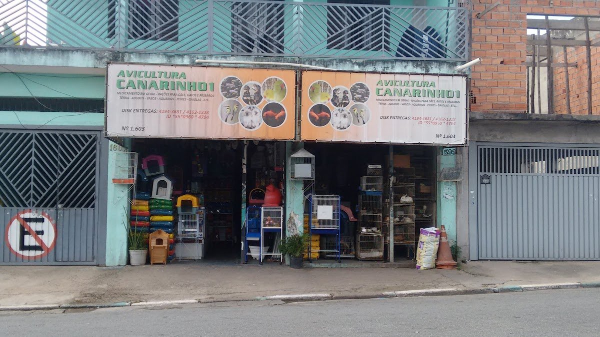 Avicultura Canarinho 1