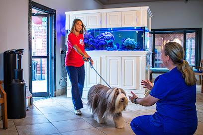 Dunwoody Animal Medical Center