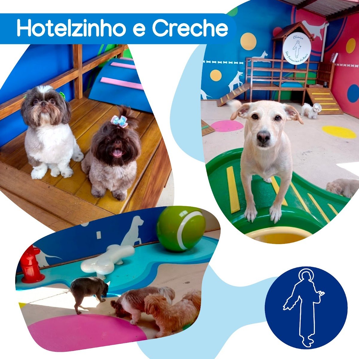 Pet Shop & Veterinária São Francisco de Assis