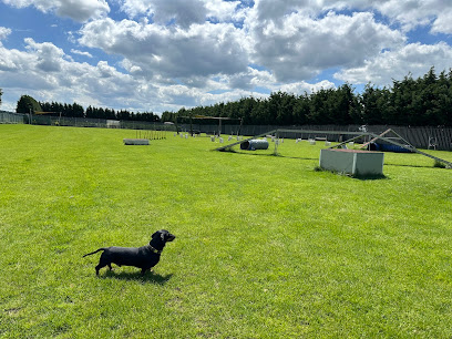 K9 Academy Peterborough | Dog Field | Dog Agility Park | Secure Facility