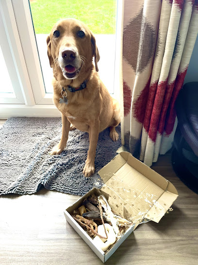 Little Acre Kennels, Cattery & Grooming