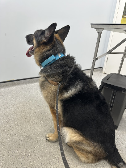 Vets for Pets Peterborough Bretton