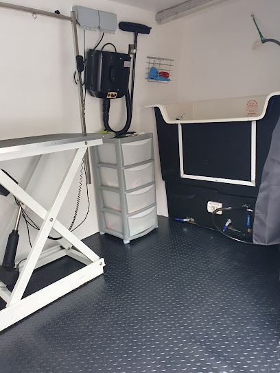 All 4 paws mobile grooming