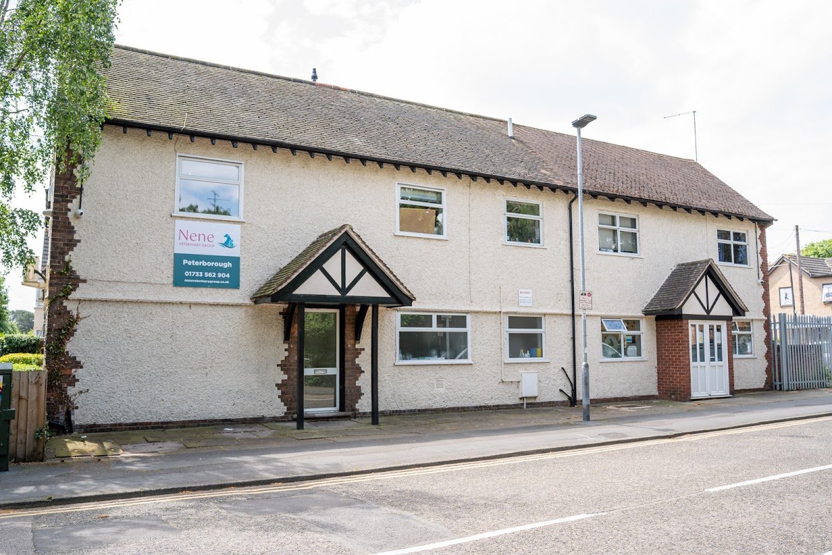 Nene Veterinary Group, Peterborough - Photo 2