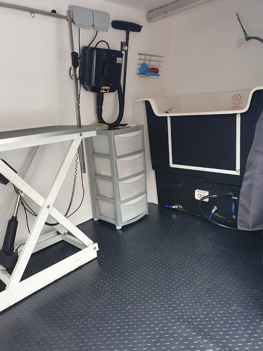 All 4 paws mobile grooming - Photo 2