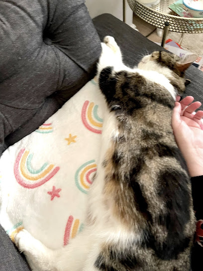 Spaywatch Animal Neutering