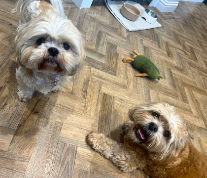 Happy Hounds Boarding