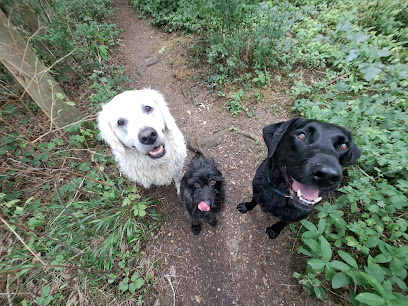 We Love Pets Peterborough