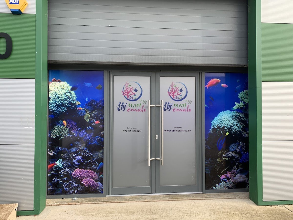 Umi Corals Ltd - Photo 2
