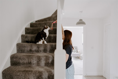 The Stamford Catsitter - Award Winning Pet Sitting & Walking