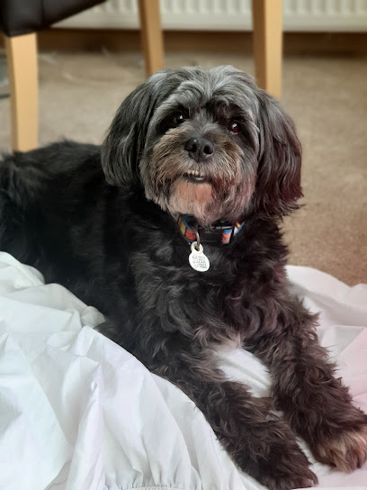 Vetical The Home Vets