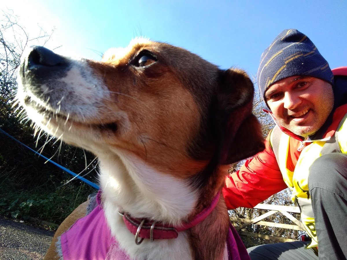 Mark Bark Dog Walking - Photo 2