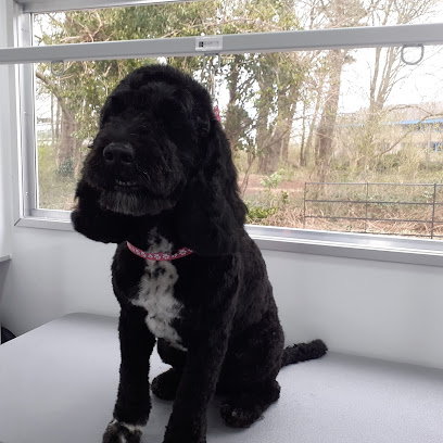 Flooffy Pet Parlour Limited