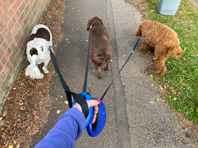 Danni Dolittle Dog Walking and Pet Services