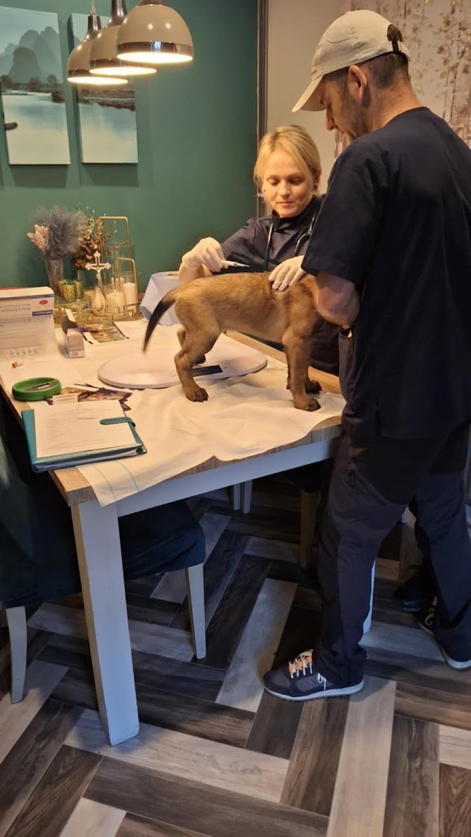 Blue Wolf Vets - Photo 2