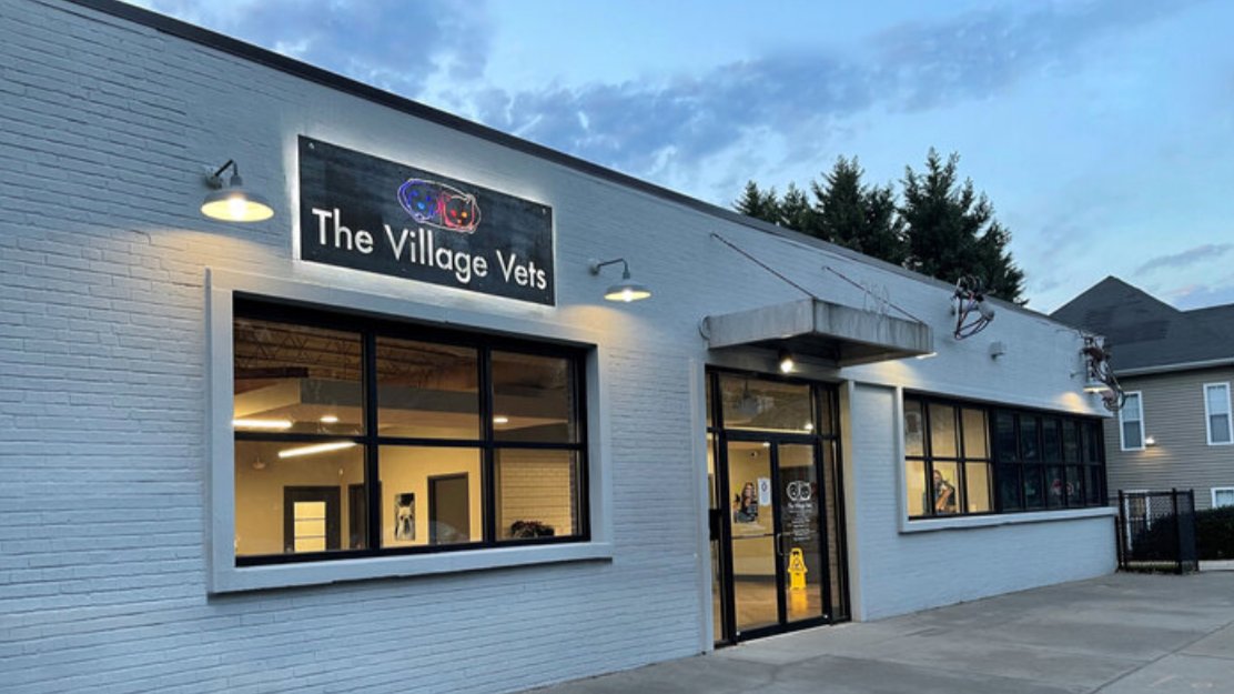 The Village Vets Virginia Highlands - Photo 2