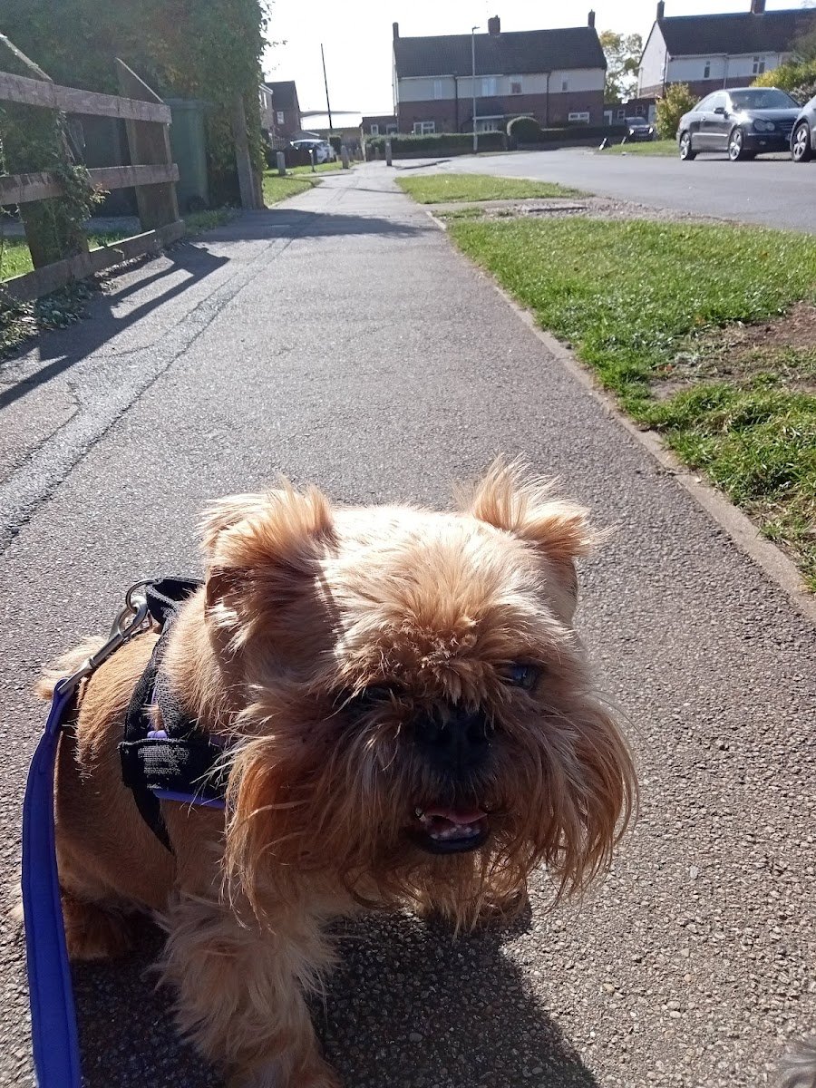 Oakdale Veterinary Surgery - Photo 2