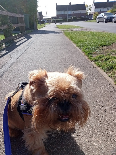 Oakdale Veterinary Surgery