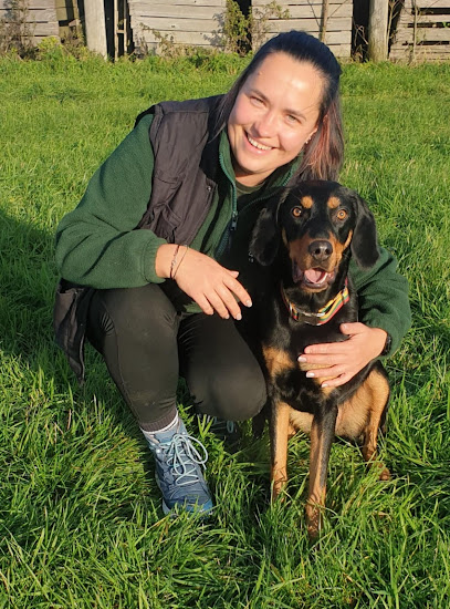 4 Paws K9 Specialist