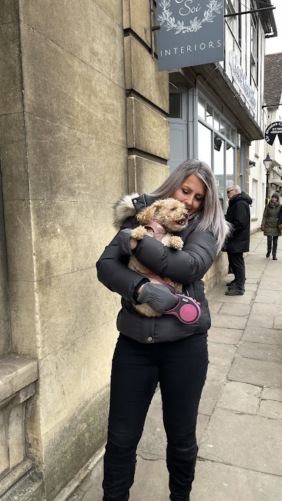 A-Star Pet Sitting & Services